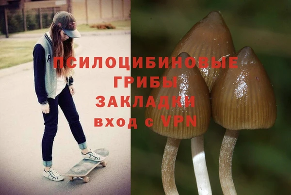 эйфоретик Бронницы