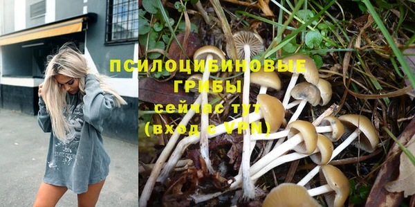 эйфоретик Бронницы