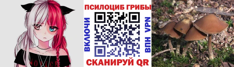kraken как зайти  магазин  наркотиков  Энем  Псилоцибиновые грибы GOLDEN TEACHER 